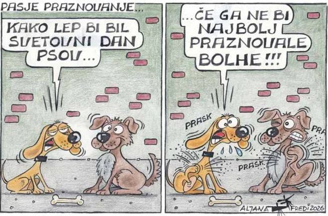 Pasje praznovanje