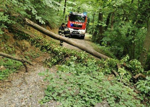 NOČNA NEVIHTA PUSTILA POSLEDICE NA PRIMORSKEM: Ponoči odkrivalo strehe in podiralo drevesa