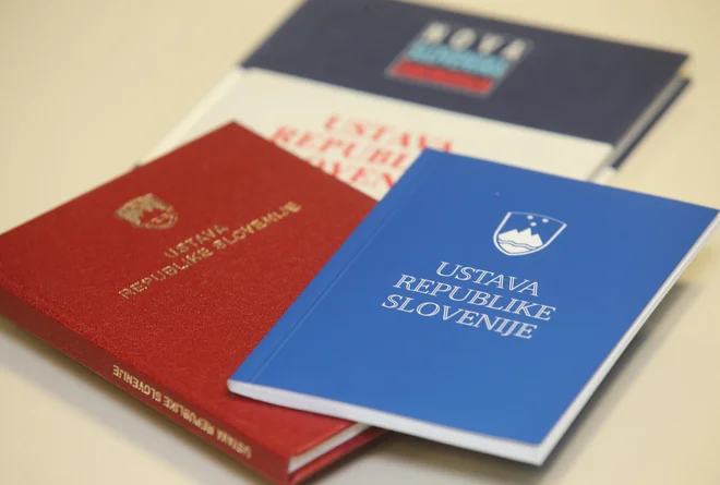 Kolumna Aleksandra Brudarja: Ustavo v vsak žep