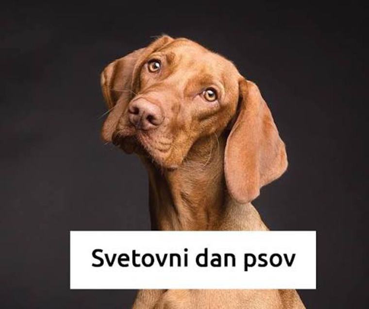 26. avgust – svetovni dan psov
