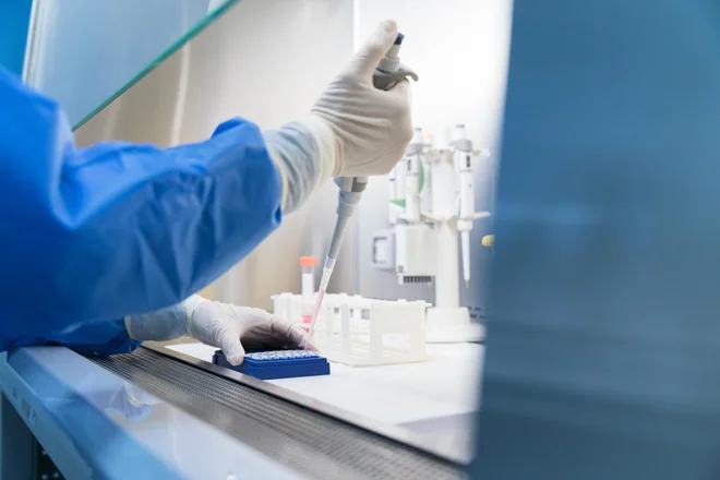 Na Hrvaškem že sedem okužb z virusom, dve osebi na respiratorju: virus našli tudi v poginulih vranah