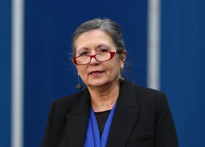 Dr. Vesna V. Godina: Kaj ustava v rokah prvošolčkov pove o slovenski oblasti